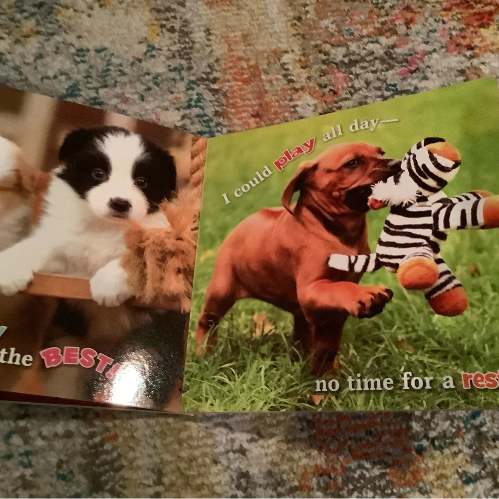 If I Were a Dog and If I Were a Cat Hardcover books